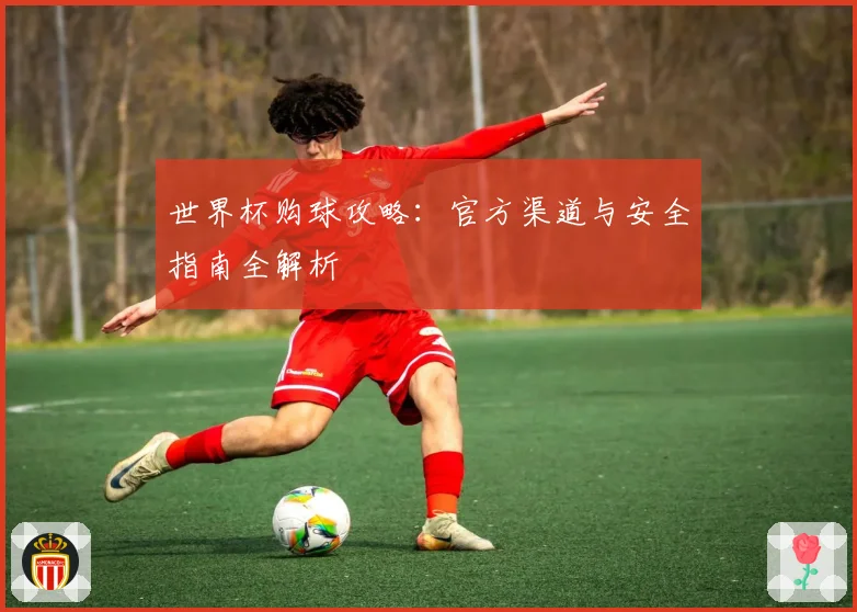 世界杯购球攻略：官方渠道与安全指南全解析