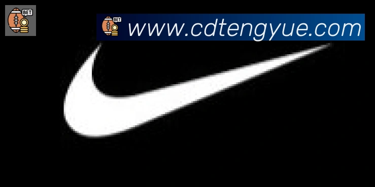 云开手机版登录入口合作伙伴